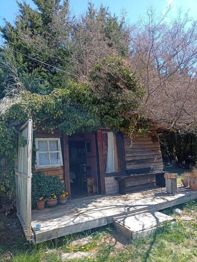 Bajo El Nire Lejlighed San Carlos de Bariloche Eksteriør billede