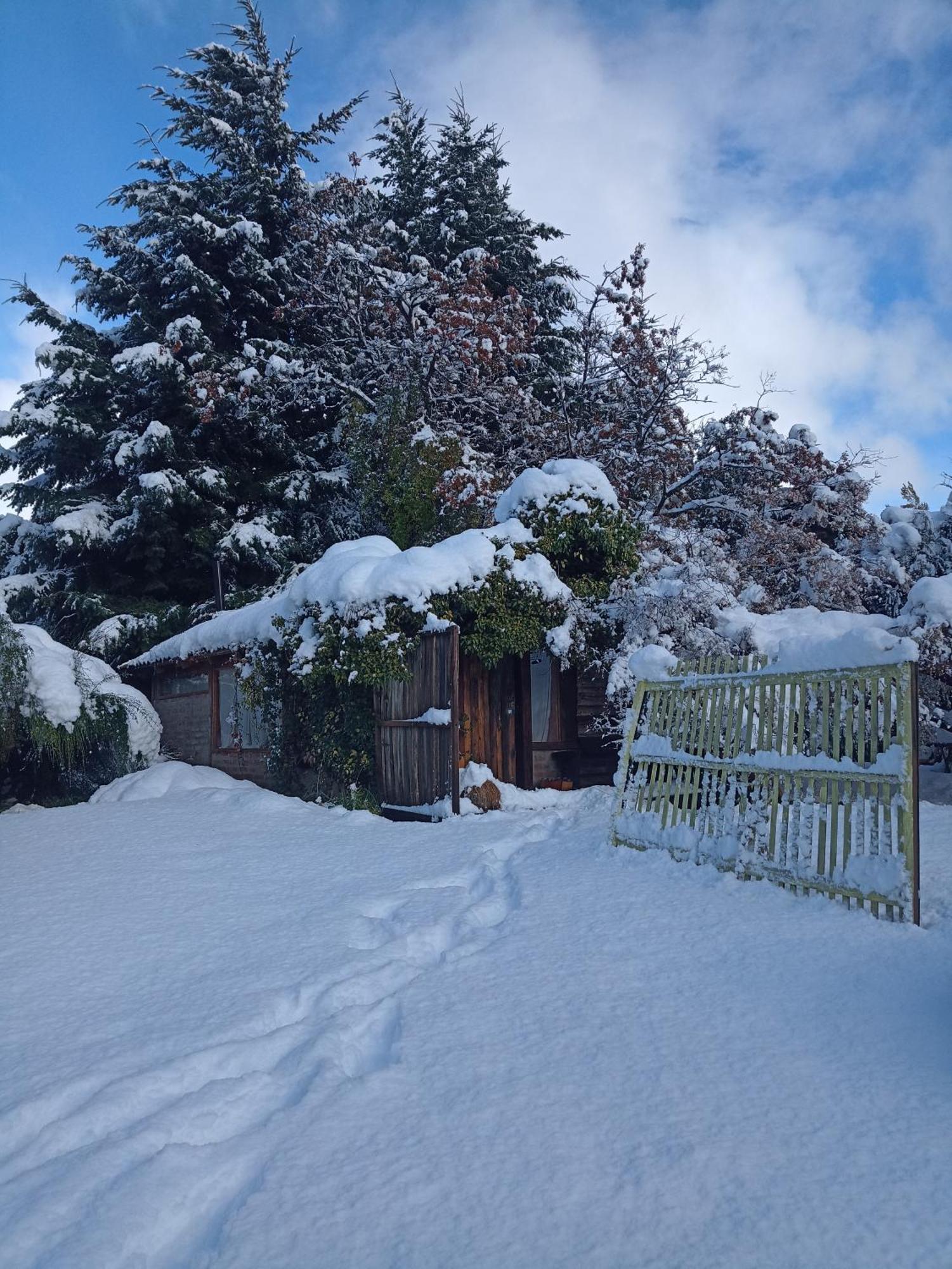 Bajo El Nire Lejlighed San Carlos de Bariloche Eksteriør billede
